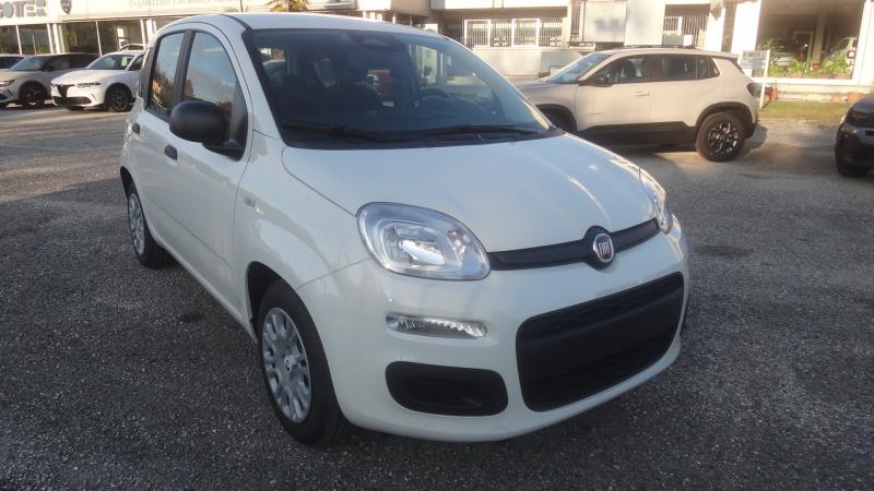 Auto usate Portogruaro